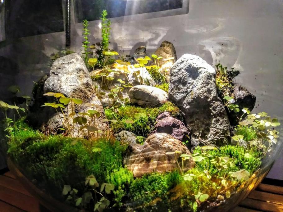 安吉利斯港Sauna & Steam Larch Avenue Getaway别墅 外观 照片